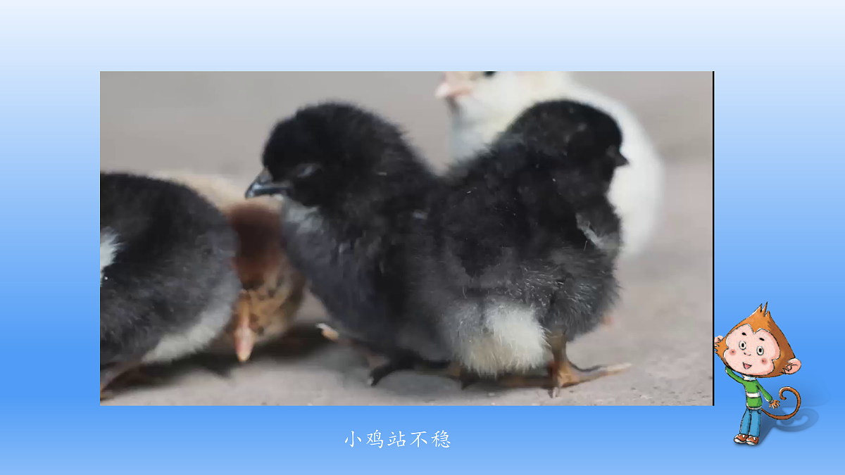 18145667第4页