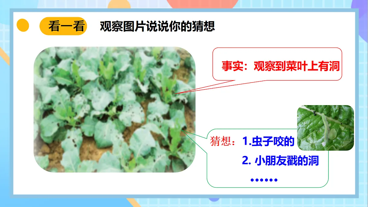 18145668第6页