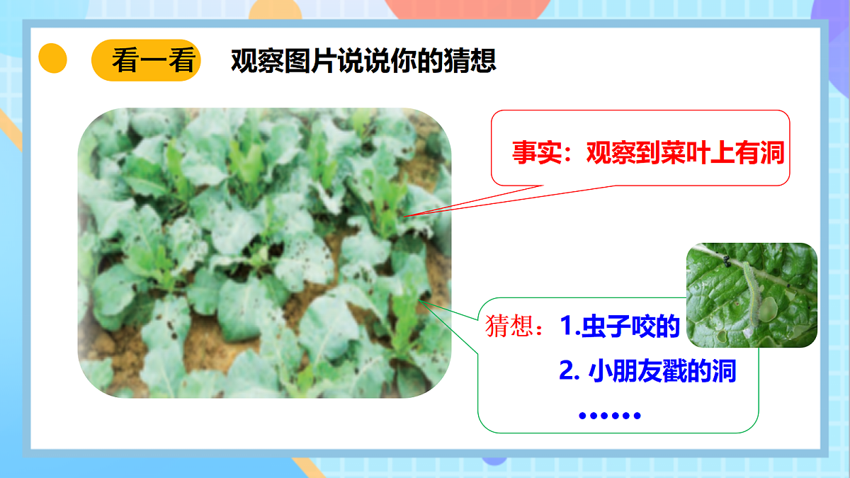 18145668第6页