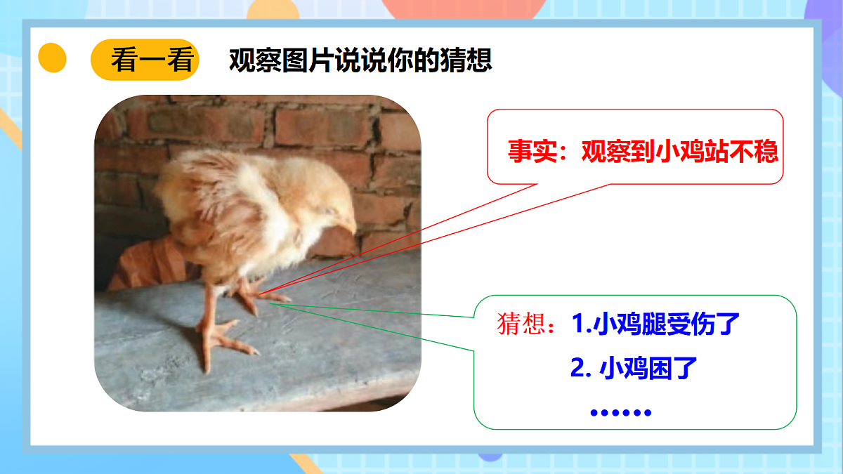 18145668第7页