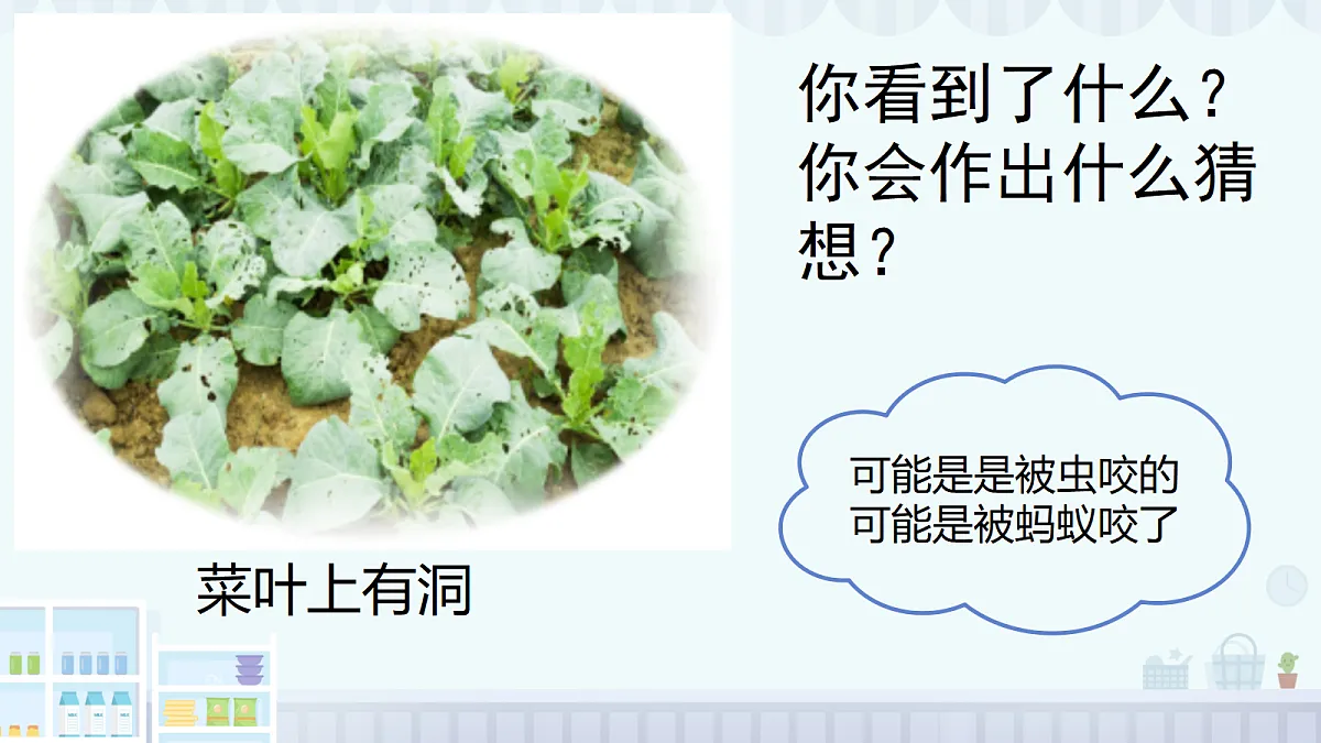18145669第4页