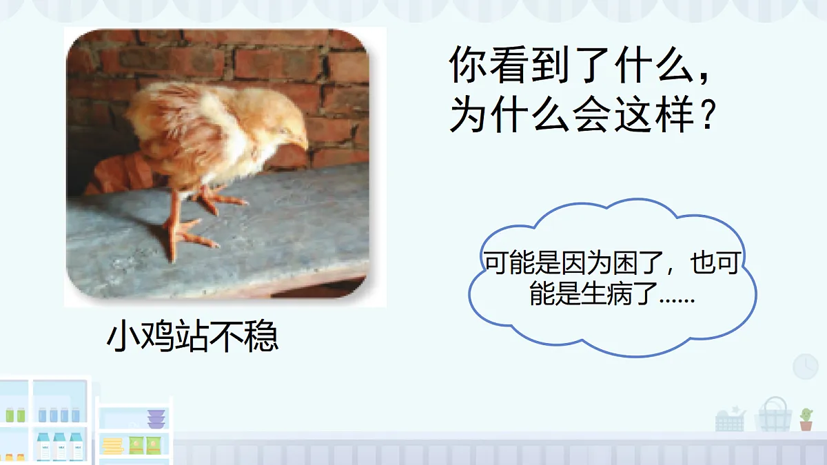 18145669第5页