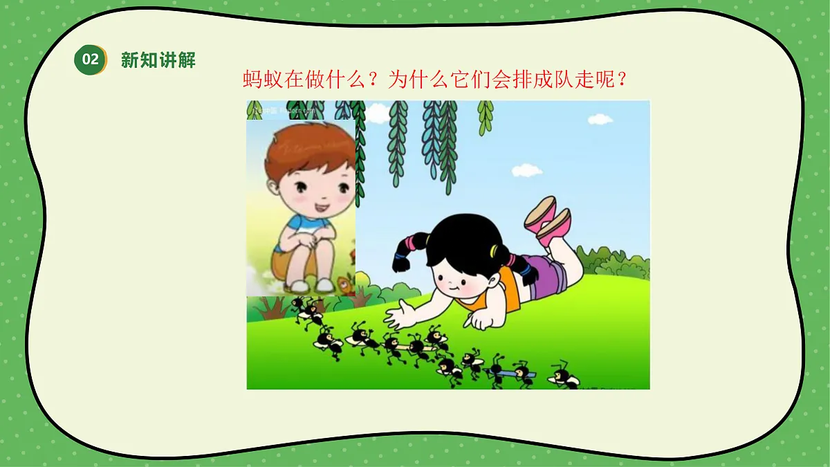 18145670第5页
