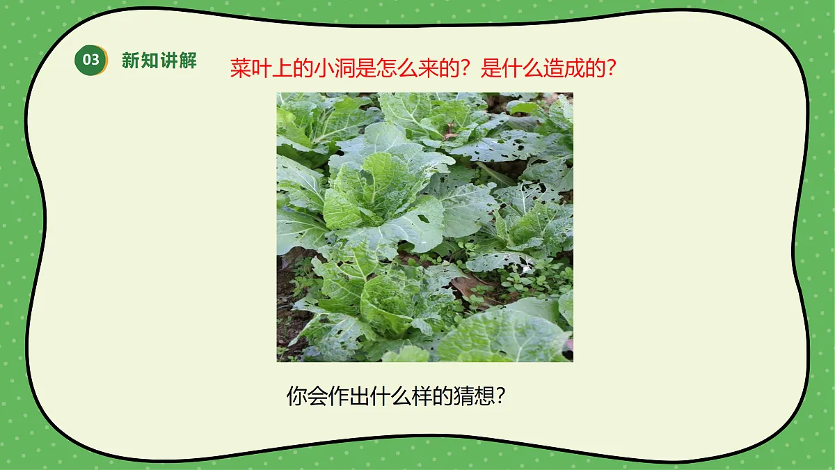18145670第8页