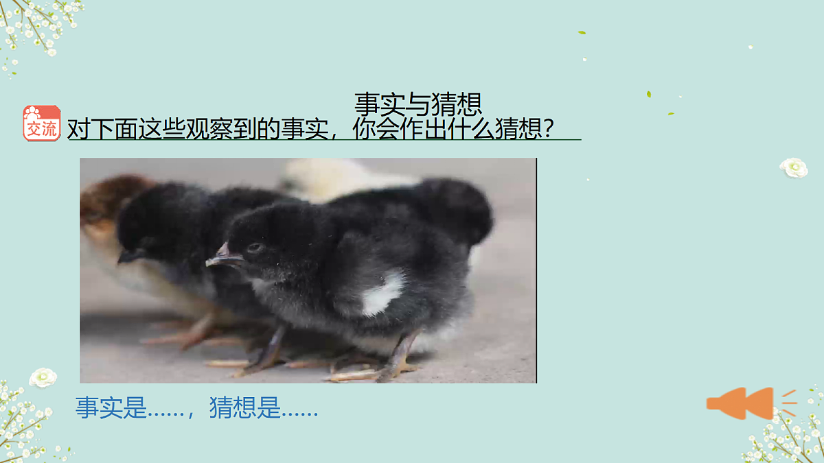 18145671第5页