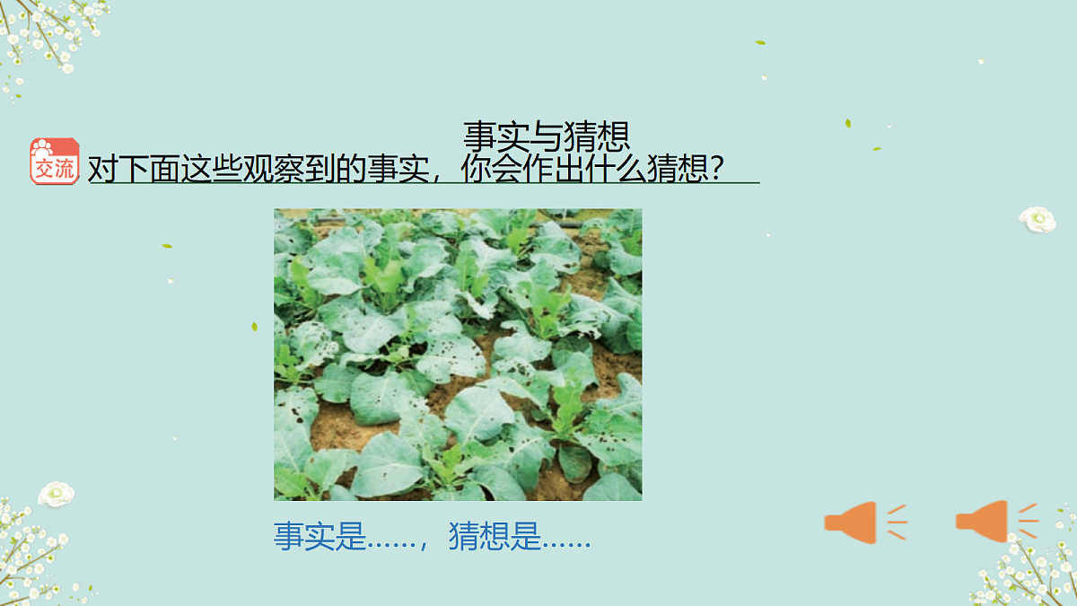 18145671第6页