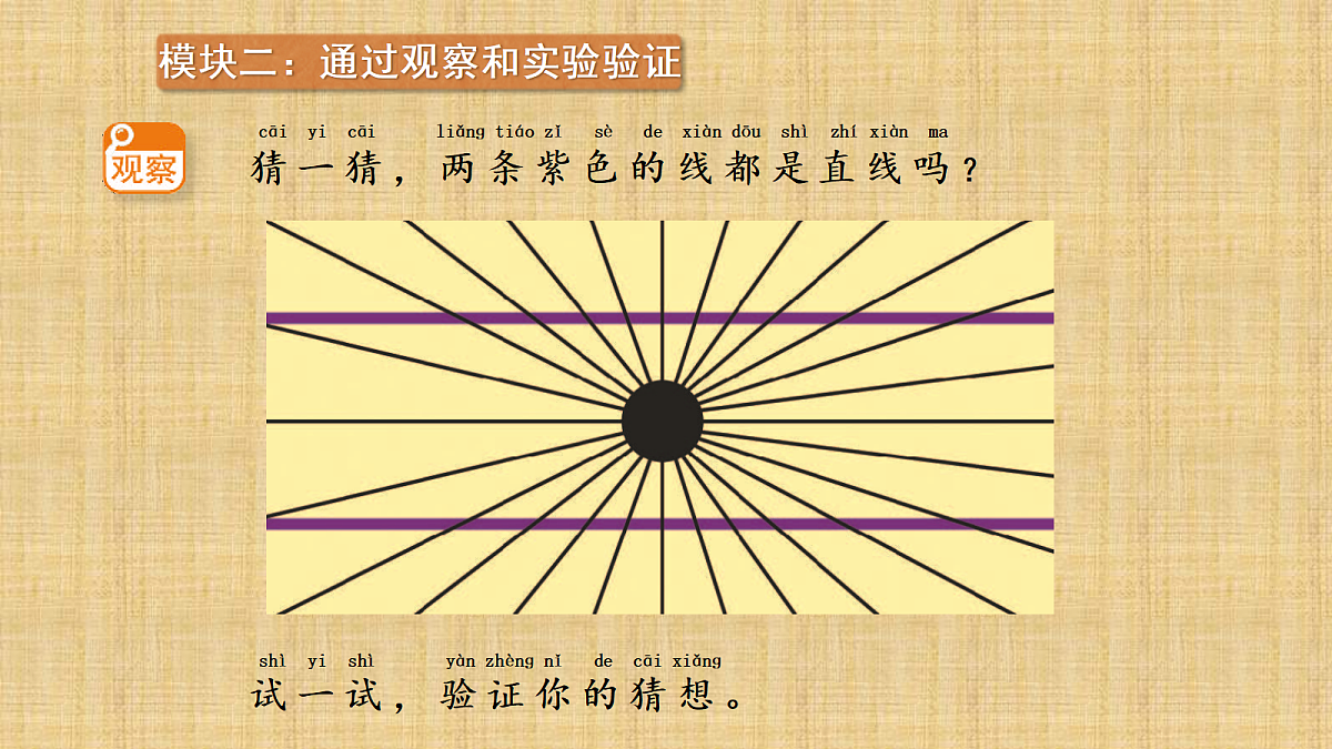 18145676第3页