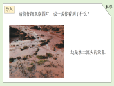苏教版（2024）科学三年级上册 第4课《植被与土壤》课件