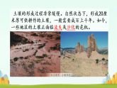 苏教版（2024）科学三年级上册 4植被与土壤（课件）