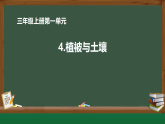 苏教版（2024）科学三年级上册 《4植被与土壤》课件