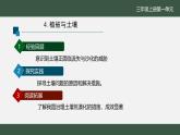 苏教版（2024）科学三年级上册 《4植被与土壤》课件