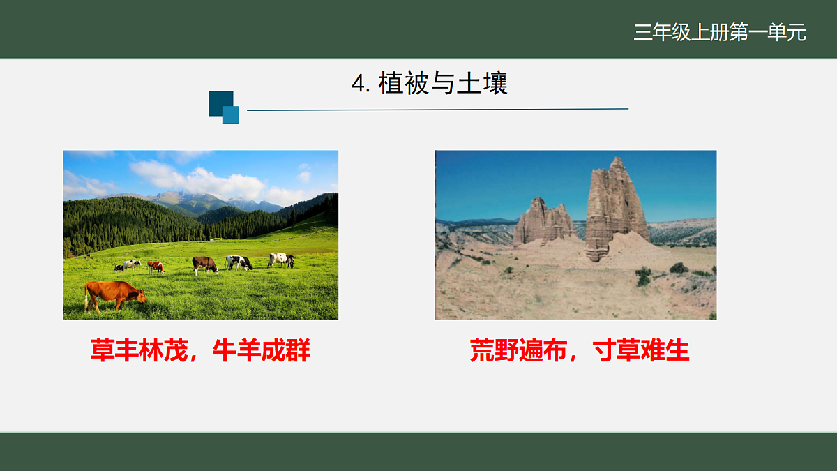 18145754第3页