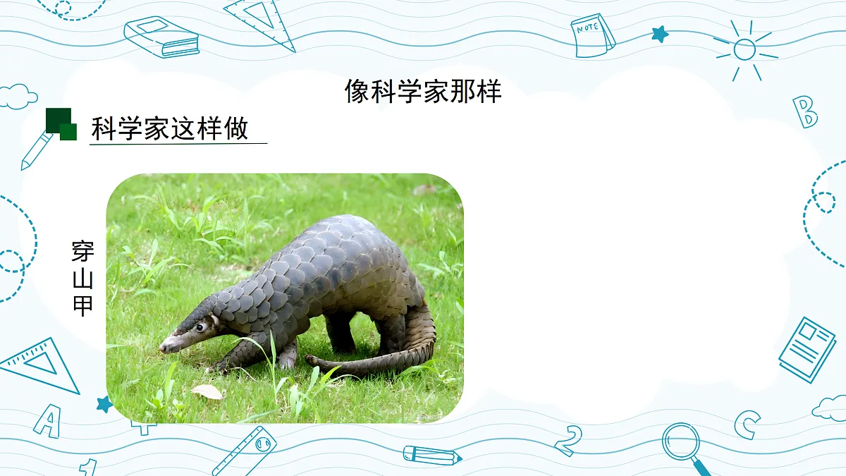 18145755第6页