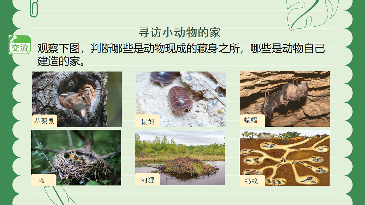 18145756第4页