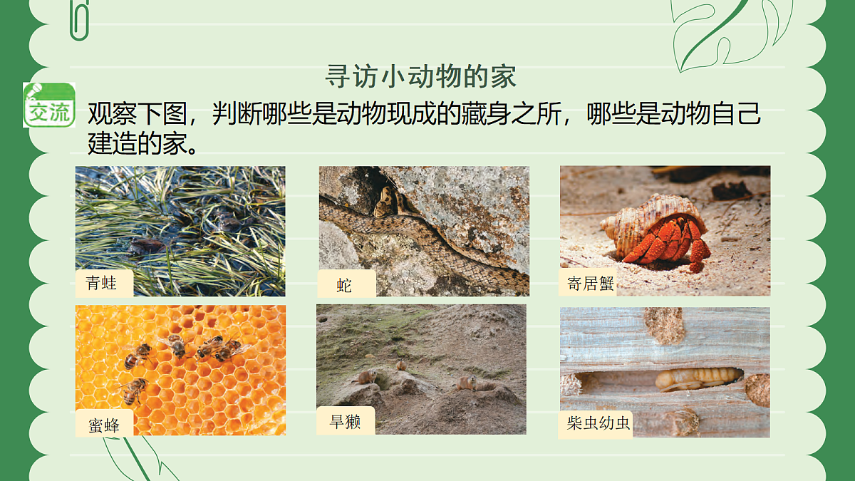 18145756第5页