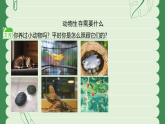 苏教版（2024）科学二年级下册 11 动物生存需要什么  课件