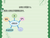 苏教版（2024）科学二年级下册 11 动物生存需要什么  课件