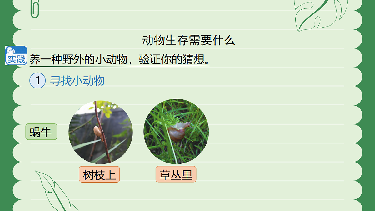 18145757第4页
