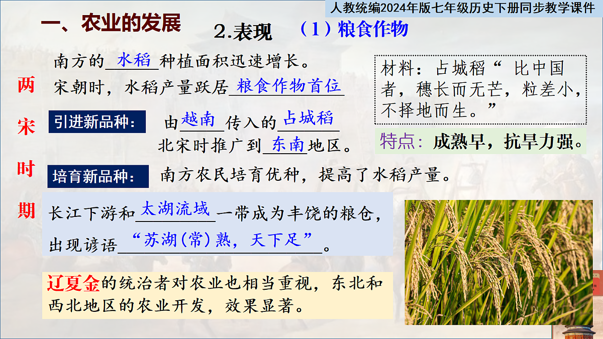 18145864第5页