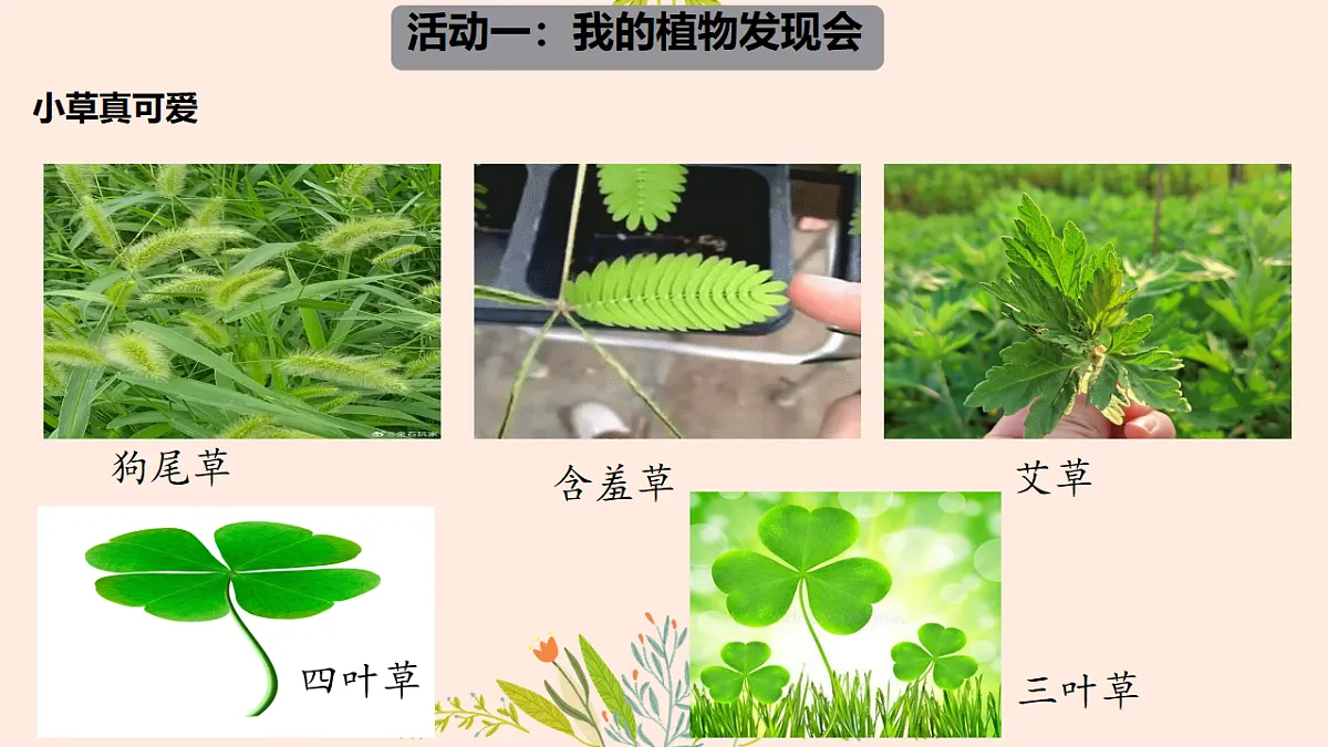 18145985第3页
