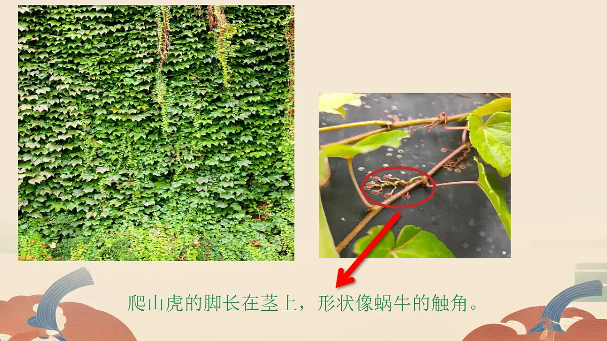 18145985第4页