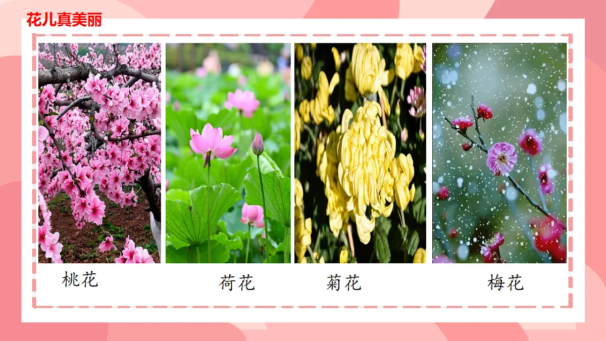18145985第6页