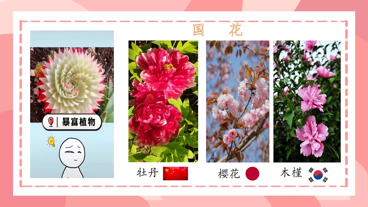 18145985第7页