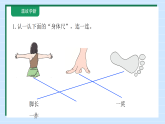 我们的“身体尺”2《用“身体尺”测量》课件2025-2026学年苏教版小学数学二年级下册