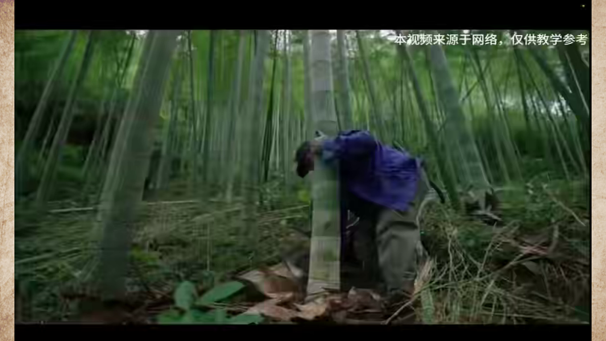18147148第3页