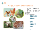 苏教版（2024）科学一年级下册 4.12 动物与植物 课件