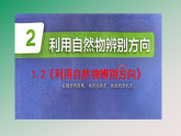 1.2《利用自然物辨别方向》教学课件 教科版科学三年级下册