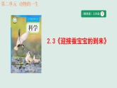 2.3《迎接蚕宝宝的到来》教学课件 教科版科学三年级下册