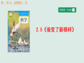 2.5《蚕变了新模样》教学课件 教科版科学三年级下册