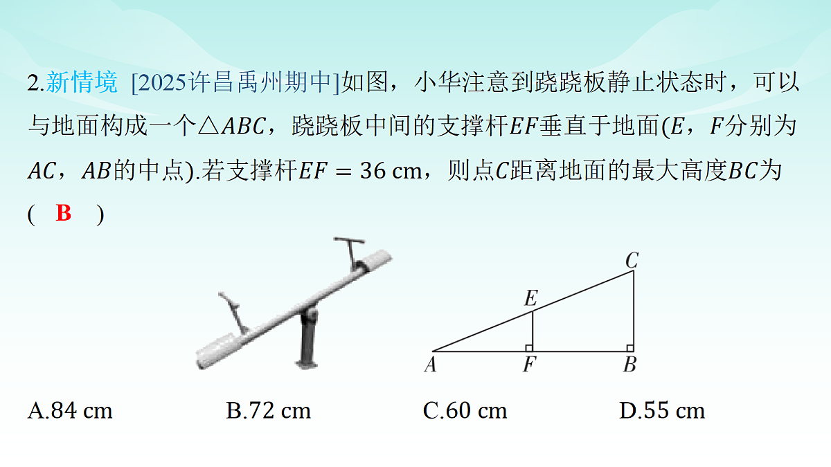 18148283第3页
