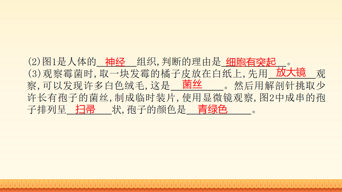 18148508第6页