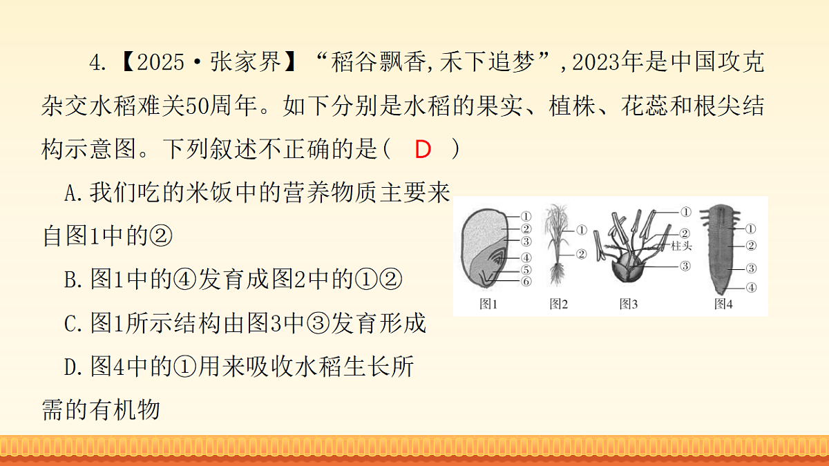 18148511第6页