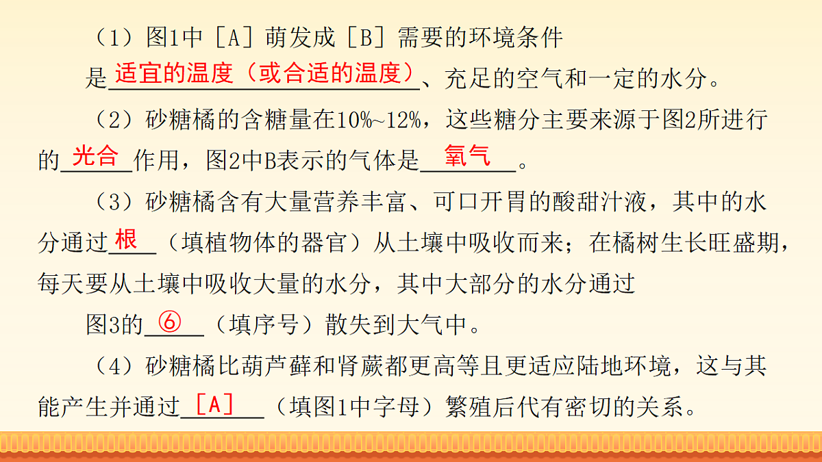 18148511第8页
