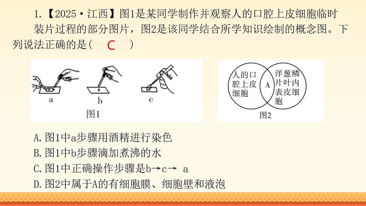 18148512第3页