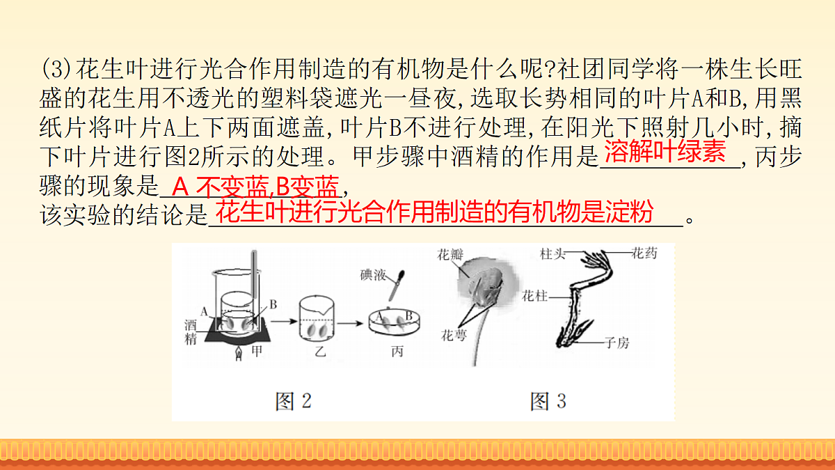 18148512第7页