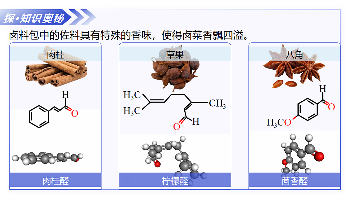 18149613第5页
