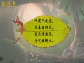统编版语文一年级下册课件《阅读20 小壁虎借尾巴》