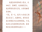 统编版语文一年级下册课件《阅读20 小壁虎借尾巴》