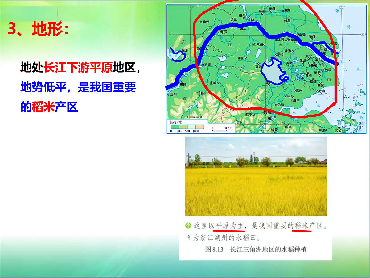 18150846第4页