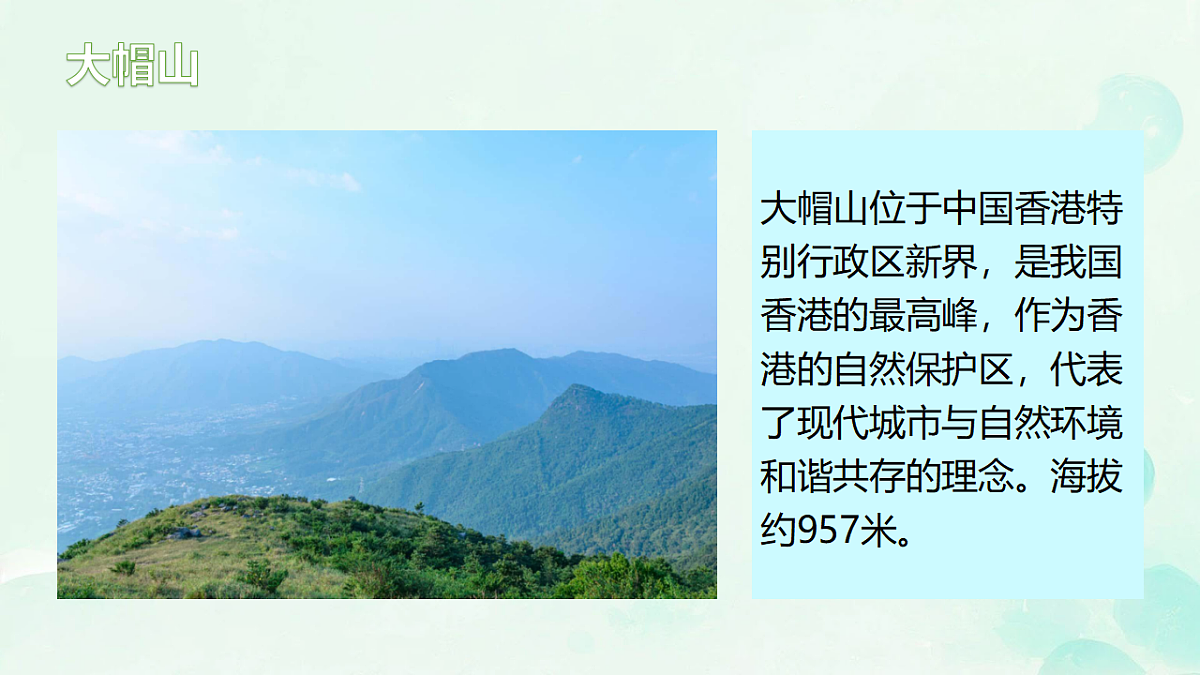 18150895第6页