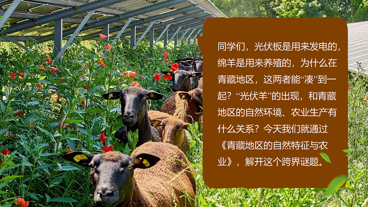 18150897第4页
