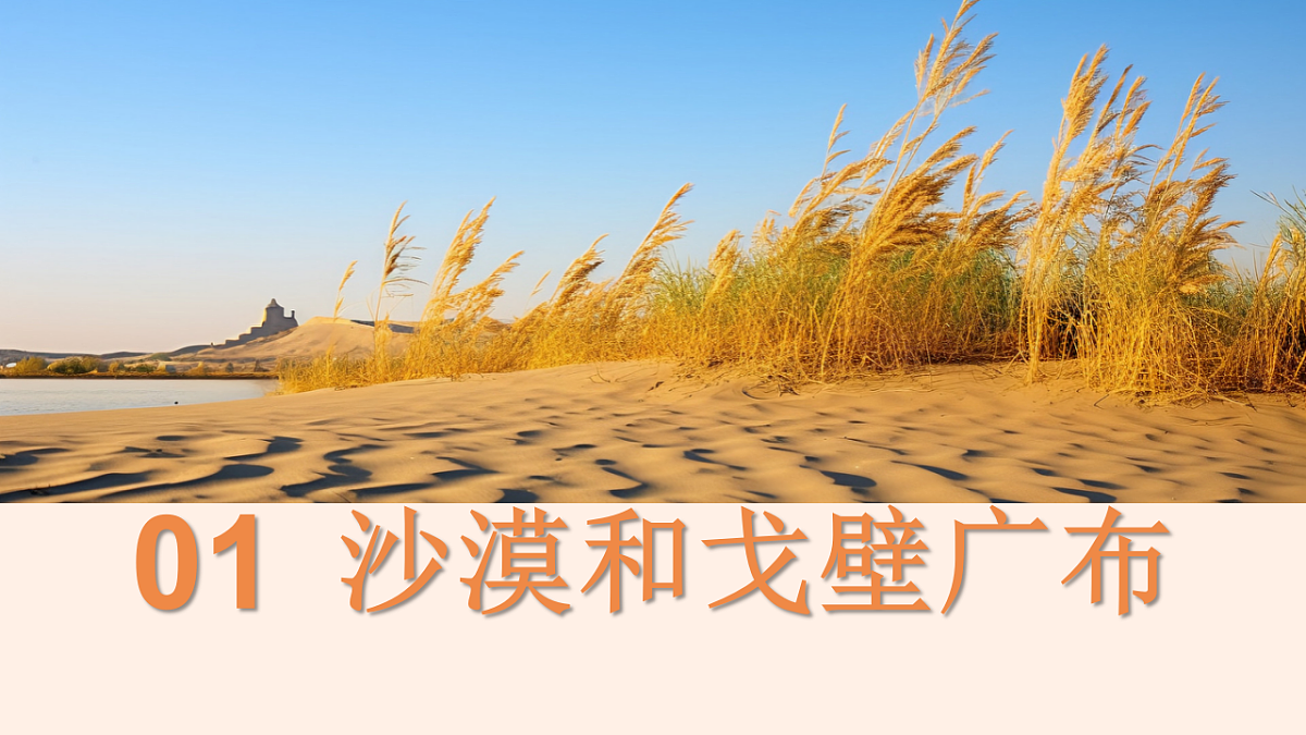18150984第5页