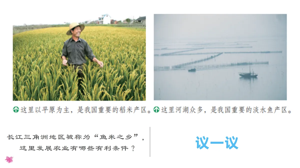 8.2.1“鱼米之乡”——长江三角洲地区 - 初中地理八年级下册 同步教学课件（人教版2024）第8页