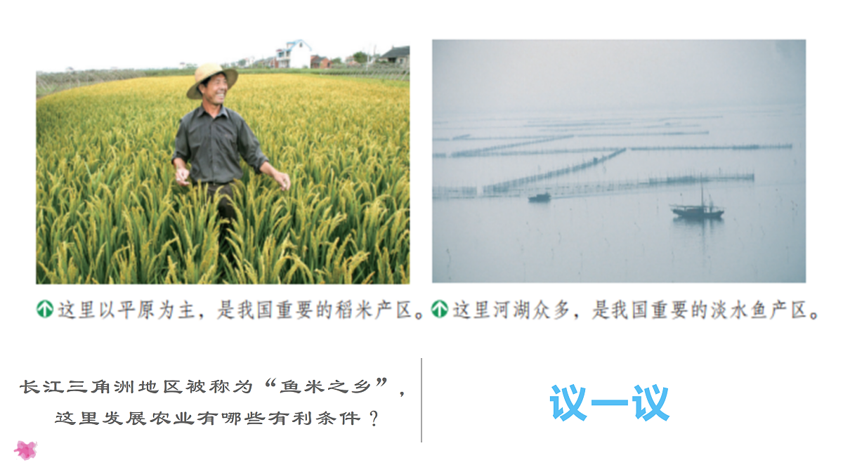8.2.1“鱼米之乡”——长江三角洲地区 - 初中地理八年级下册 同步教学课件（人教版2024）第8页