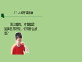 17.人的呼吸器官-课件 2025-2026学年苏教版三年级科学下册