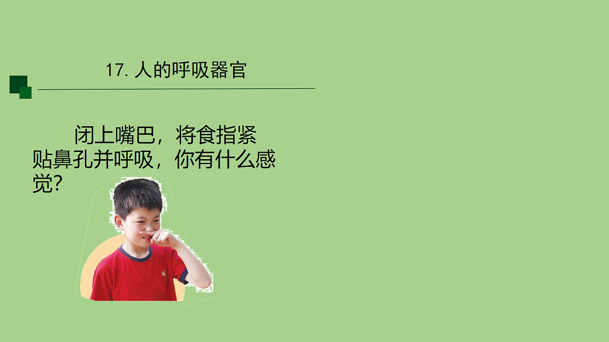 18153544第3页